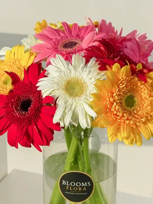  Malatya Çiçek - vazoda gerbera