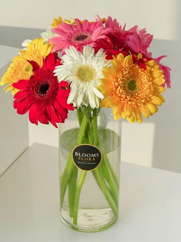  Malatya Çiçekçiler - vazoda gerbera